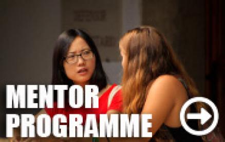 Mentoring Programme
