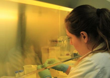 8M Researcher