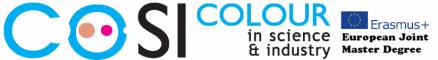 cosi_logo