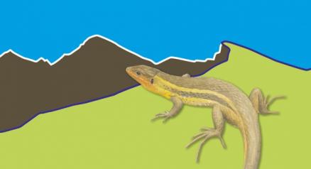 Ethology and Evolutionary Ecology